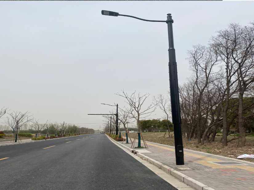 新会区上海综合杆 太阳能路灯工程